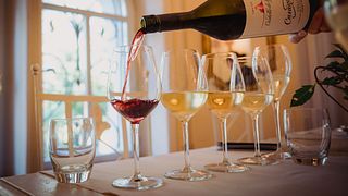 Wine Tasting and Tour at Castello Di Spessa