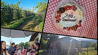 Pique-niques dans les vignobles et dégustations à Madonna dell'Uva, Piémont
