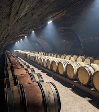 Burgundy Bliss: Château de Dracy Wine & Cellar Tour