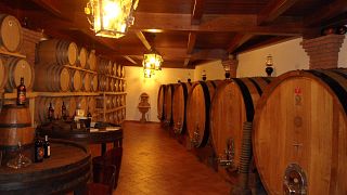 Dégustation de vins et visite à la Casa Vinicola Criserà