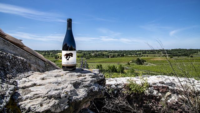 Château La Font Des Ormes
