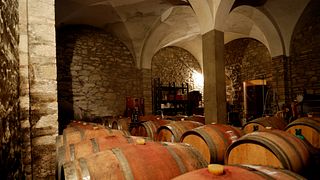 Dégustation et visite de vins rouges à Tenuta Montiani