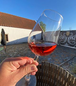 Weintour und Weinprobe bei ASL Tomé