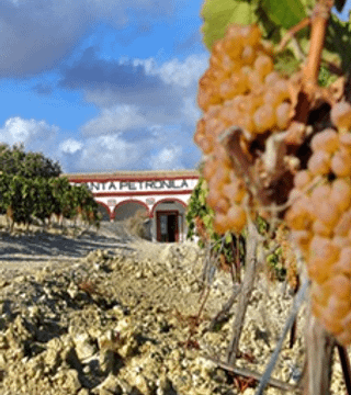 Overnight stays in the old Winery from 1722 (private stays for groups)