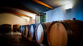 Visitando e experimentando o Château Haut-Goujon: meia garrafa oferecida por visita!!!