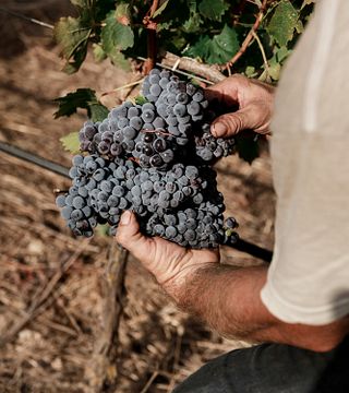 Tenuta La Favola