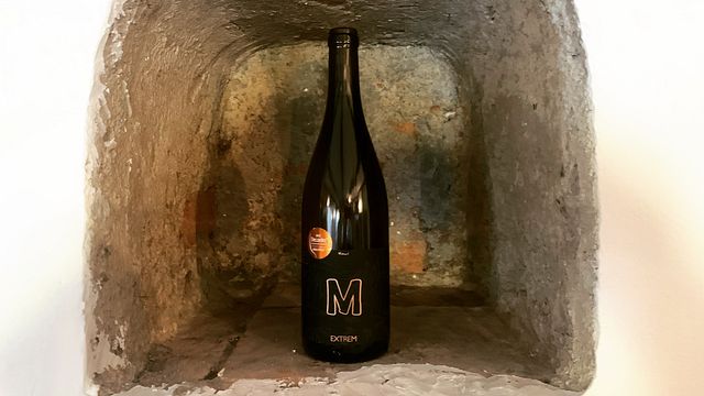 Dégustation de vins extrême et visite chez M-simply good wines