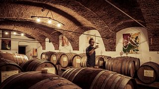 Styria's Heritage Wine Tour & Tasting at Herrenhof