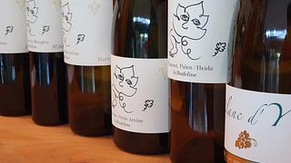 Dégustation de vins à La Rodeline