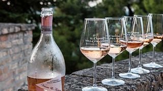 Marche Wine Journey at Il Conte Villa Prandone