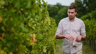 Cata de vinos y visita a la bodega Stekar