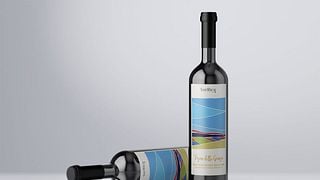 Weinprobe und Tour im Weingut Sor Rico