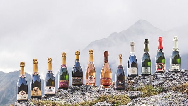 Degustazione di vini e tour ad Arunda