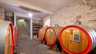 Play With Wine - LET'S PLAY! -