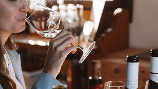 Tour pela vinícola + degustação de vinhos clássicos