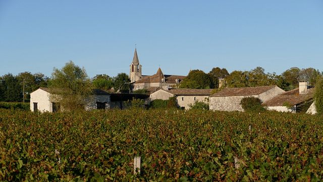 Domaine de Grimardy: A Passion for Organic Winemaking