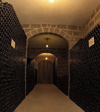 Vinprovning och rundtur på Villa Prando Vinícola