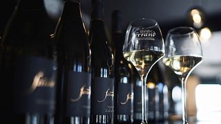 Dégustation et visite de vins au Domaine Nadine Ferrand