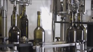 Degustação de vinhos clássicos e tour em Margarethenhof - Weingut Weber