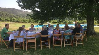 Vinho Verde Vineyard Tour & Tasting at Quinta De Lourosa
