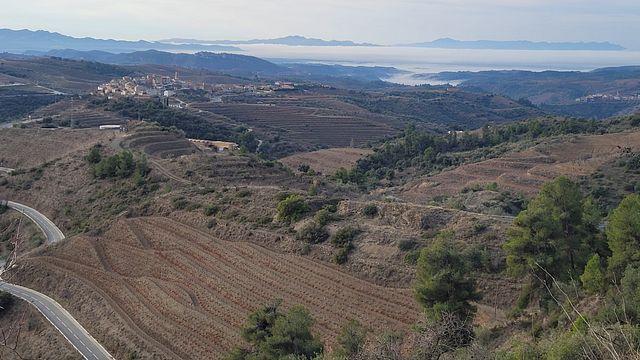 Tour Privado al Priorat desde Barcelona