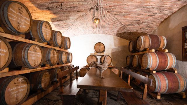 Degustação de vinhos e tour na Azienda Agricola Villa Barberino Della Famiglia Nunzi Conti