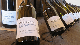 Degustazione di vini e visita alla Maison Chanzy
