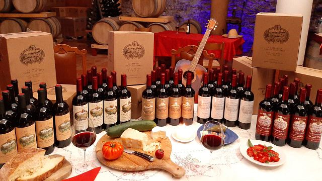 Tour Veneto Vineyards & Taste 6 Organic Local Wines