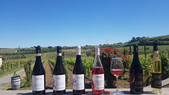 Beliebte Weinprobe und Tour im Weingut Azienda Biologica De Sanctis