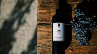 Vingårdstur och vinprovning på Karimalis Winery i Ikaria