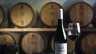 Degustazione di vini e tour a Quinta dos Penassais