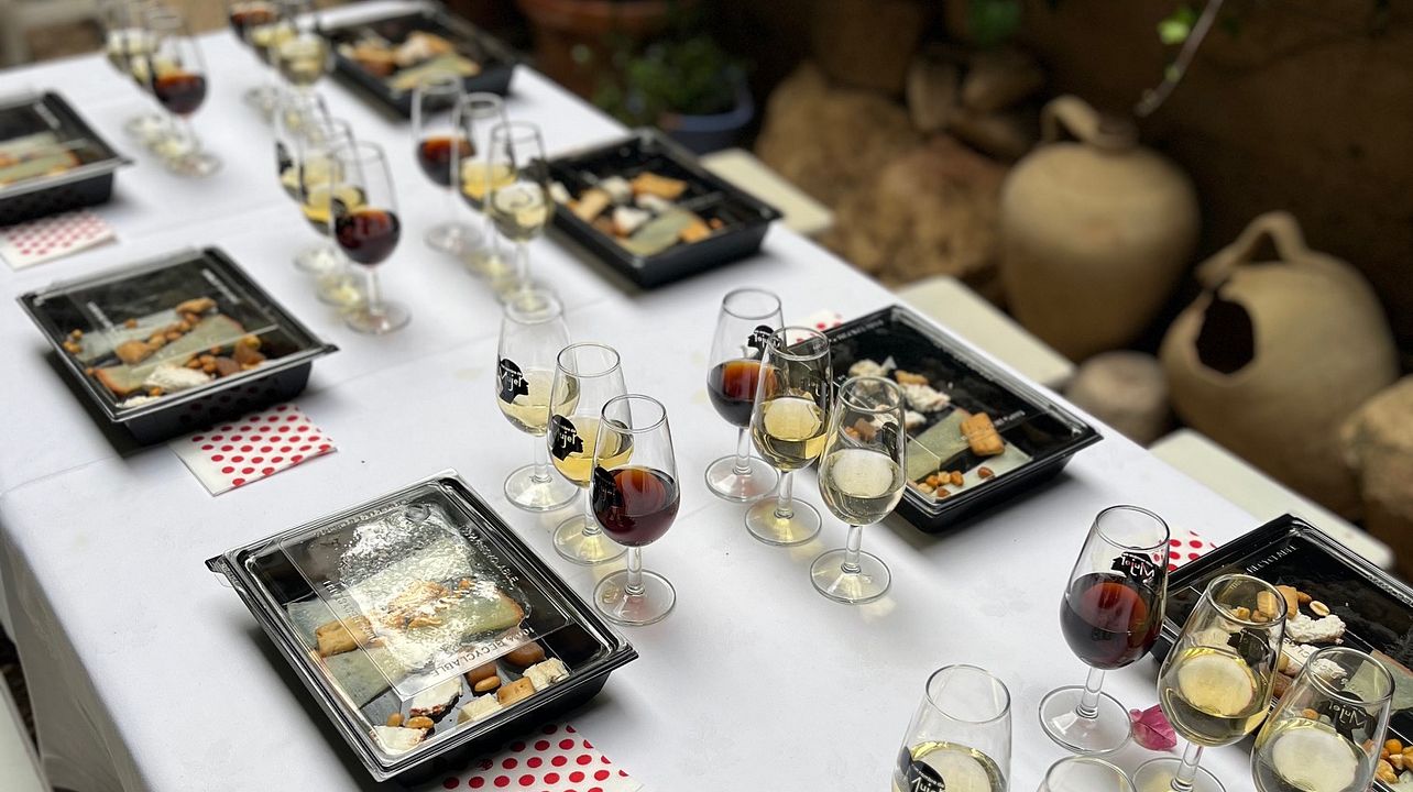 Cordoba wine & local cheese tasting in the heart of the Cordoba city