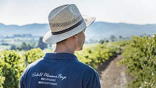 Organic Catalonia: Vineyard Tour & Cava Tasting