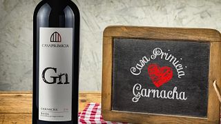 Rioja Vineyard Journey: Wine & Gastronomy at Casa Primicia