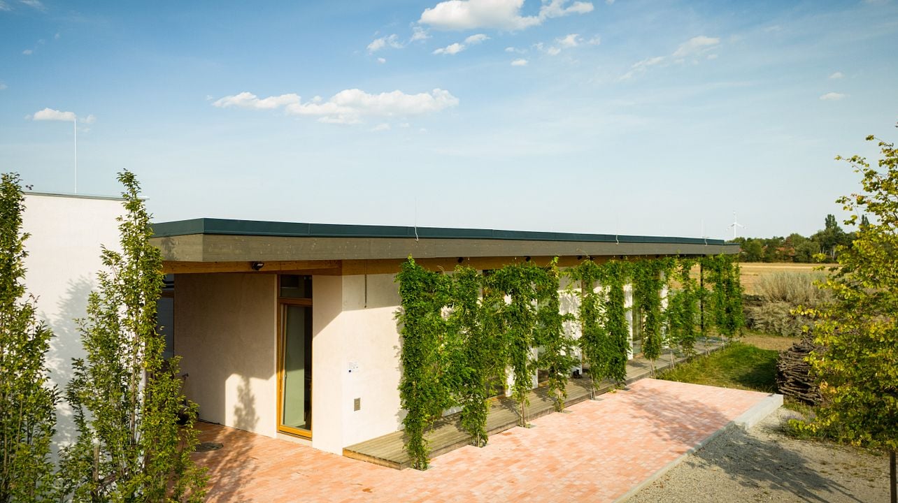 Weingut Dorli Muhr