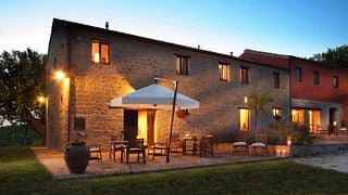 Wine tasting and tour at Azienda Agricola Zaccagnini