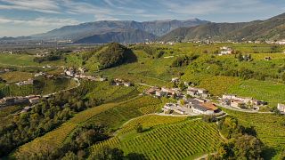 Sip Prosecco Wines with Panoramic Views in Veneto