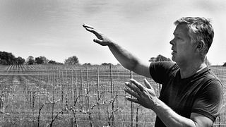 Westwell Wine Estates
