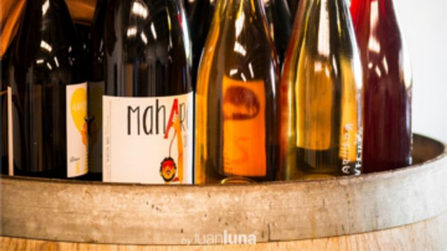 Weingutbesichtigung und Weinprobe in der Bodega Vinificate