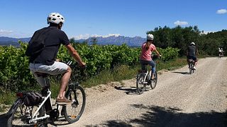 Visite guidée à vélo à la découverte des petites caves du Penedès 