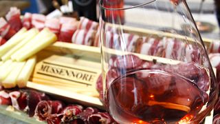 Une dégustation de vins très typique au cœur de la Sardaigne | Cantina Mussennore Mamoiada