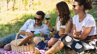 Pic Nic in Vigna