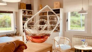 Aromen von Rioja Oriental bei Bodegas Aradón