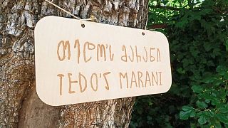 Dégustation de vins et visite chez Tedo's Marani