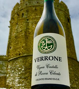 Umfassendes Weinerlebnis im Weingut Verrone und Besuch des alten Weinbergs rund um die Burg Rocca Cilento