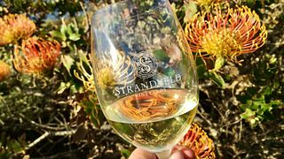 Strandveld Vineyards