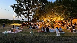Vinprovning och rundtur på Galvana Superiore