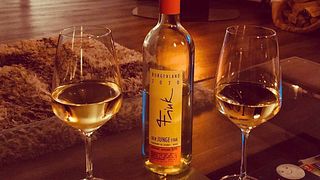 Cata de vinos y visita guiada en Fink & Kotzian Weinbau Og