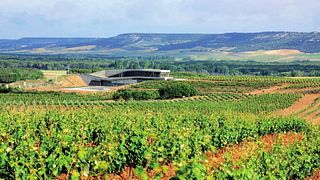 Castilla y León: Golden Mille Wine & Cave Journey