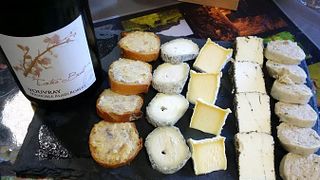 Da Vinha ao Vinho: Uma Experiência Completa de Vinho
